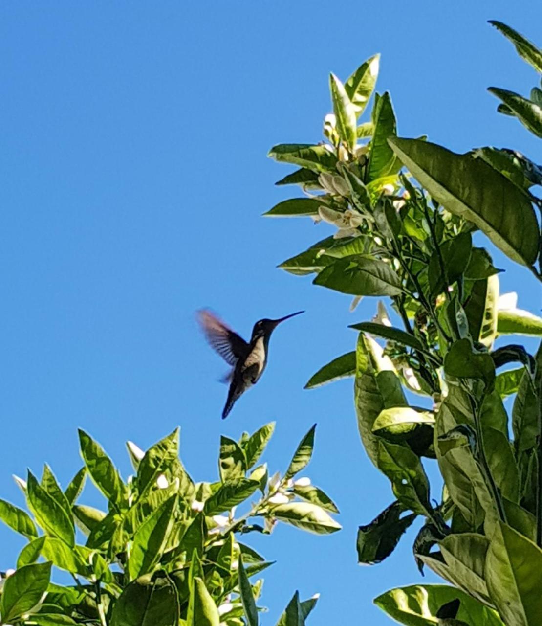 La Escondida Villa Villa Serrana Dış mekan fotoğraf